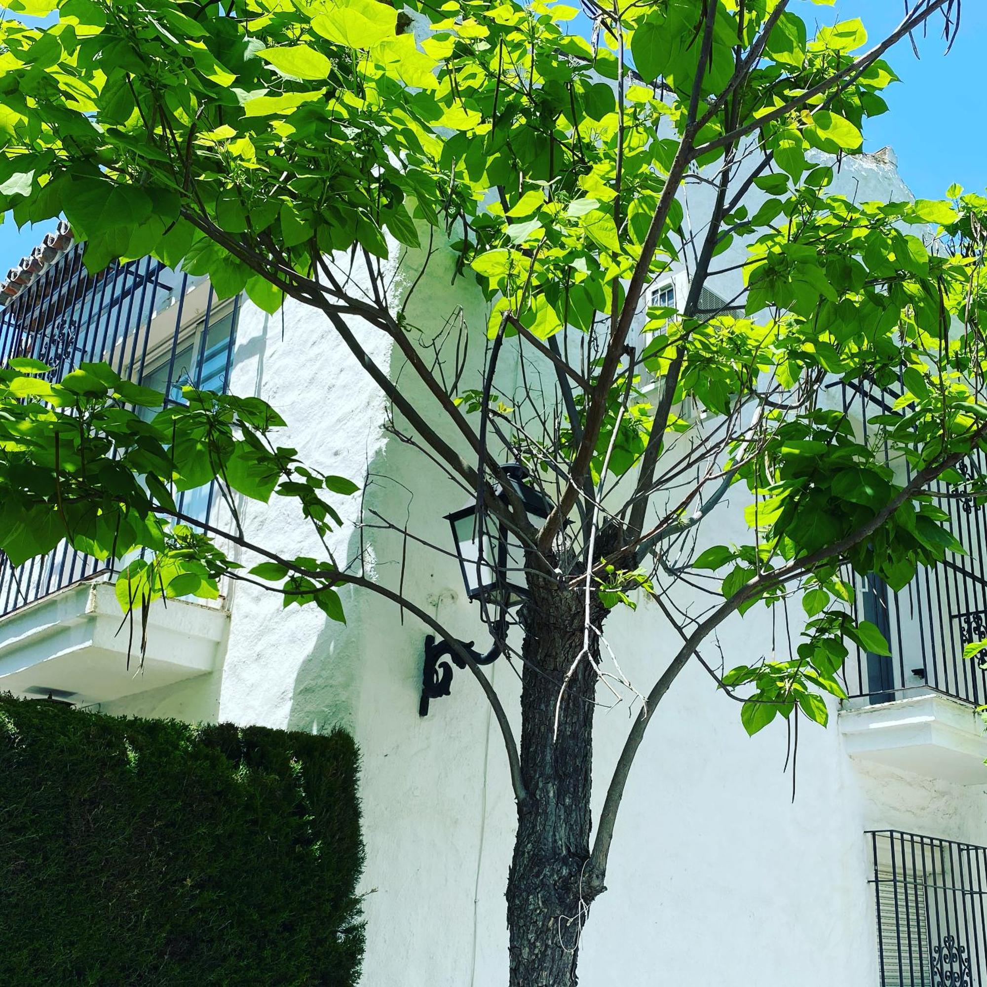 Tarifa Especial, Sin Aglomeraciones En Piscina Y Playa, Cerca De Puerto Banus 埃斯特波纳 外观 照片